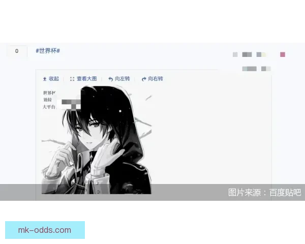 世界杯在线投注指南深度解析提升投注技巧掌握赛事动态助力精准预测